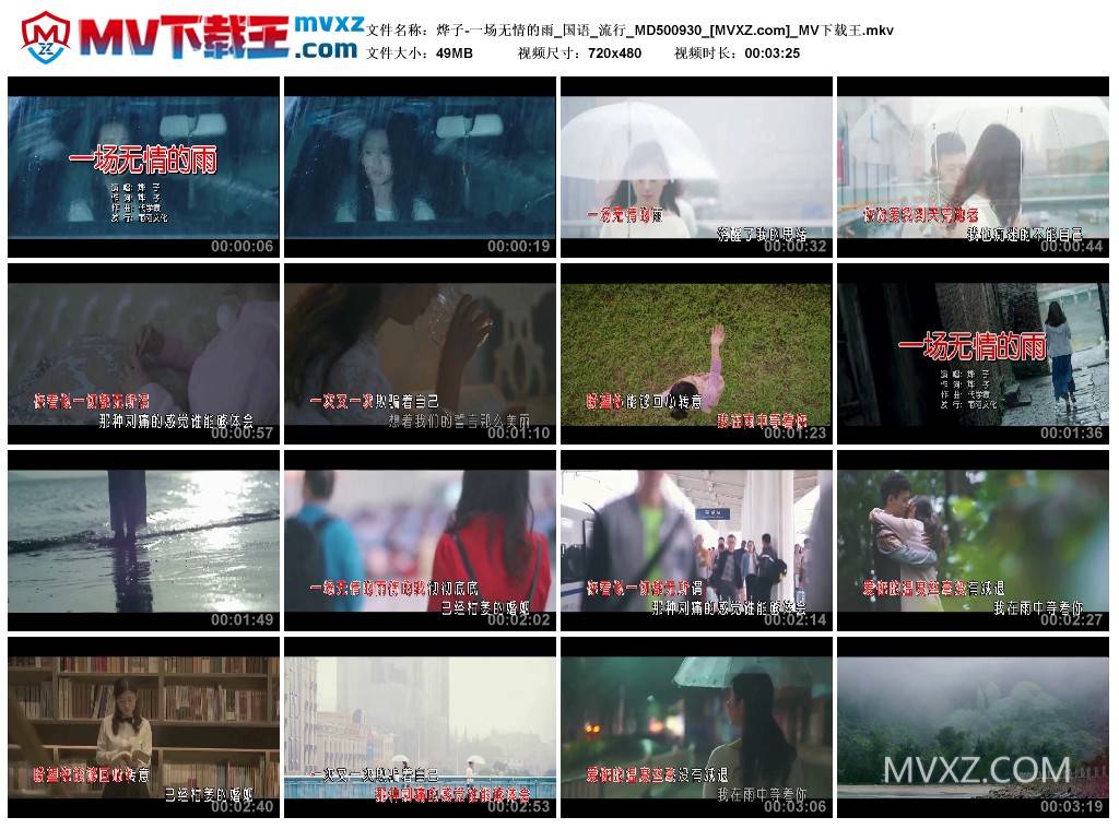 烨子-一场无情的雨_国语_流行_MD500930